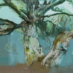 Vaides ozols_110x160_Small.jpg